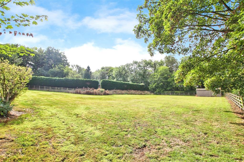Bottom Paddock