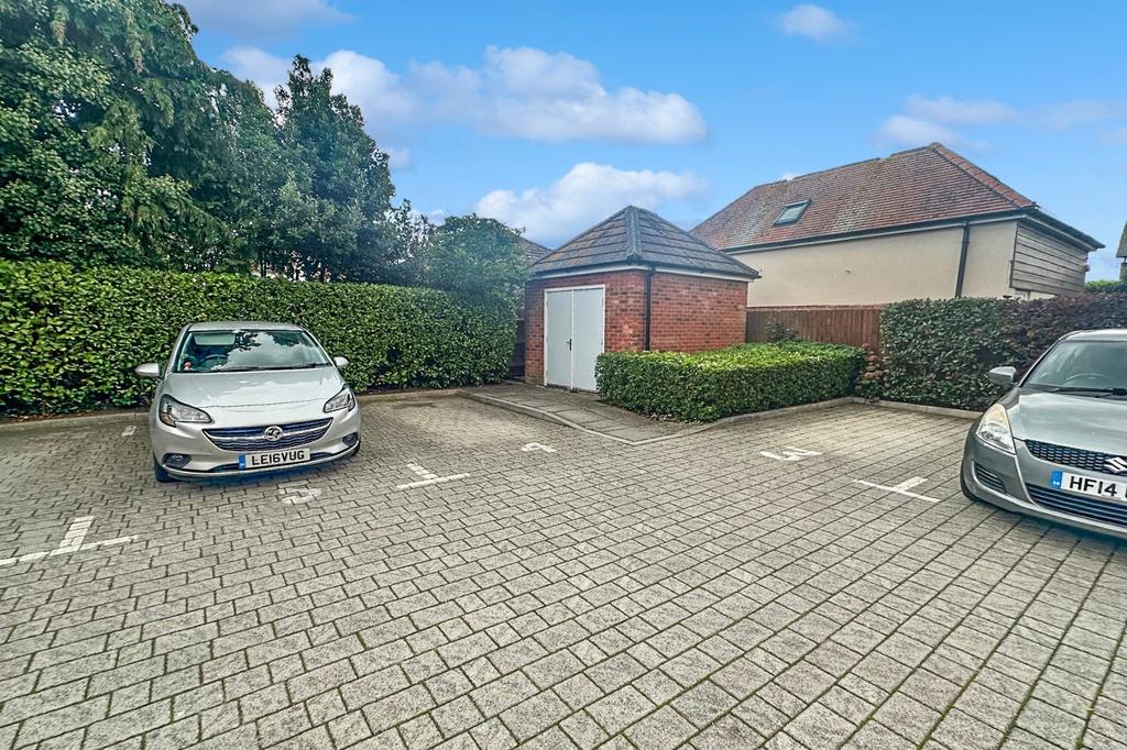 Not Specified