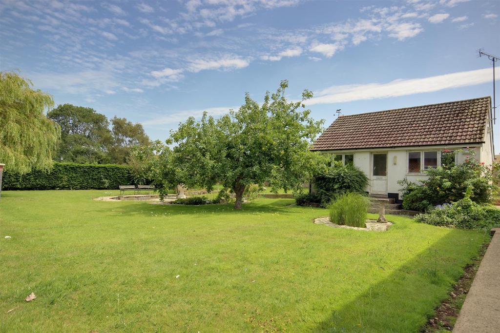 Cherry Trees (2).jpg