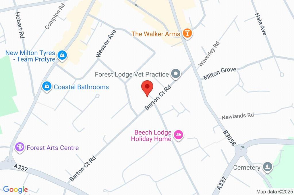 Google Maps Image