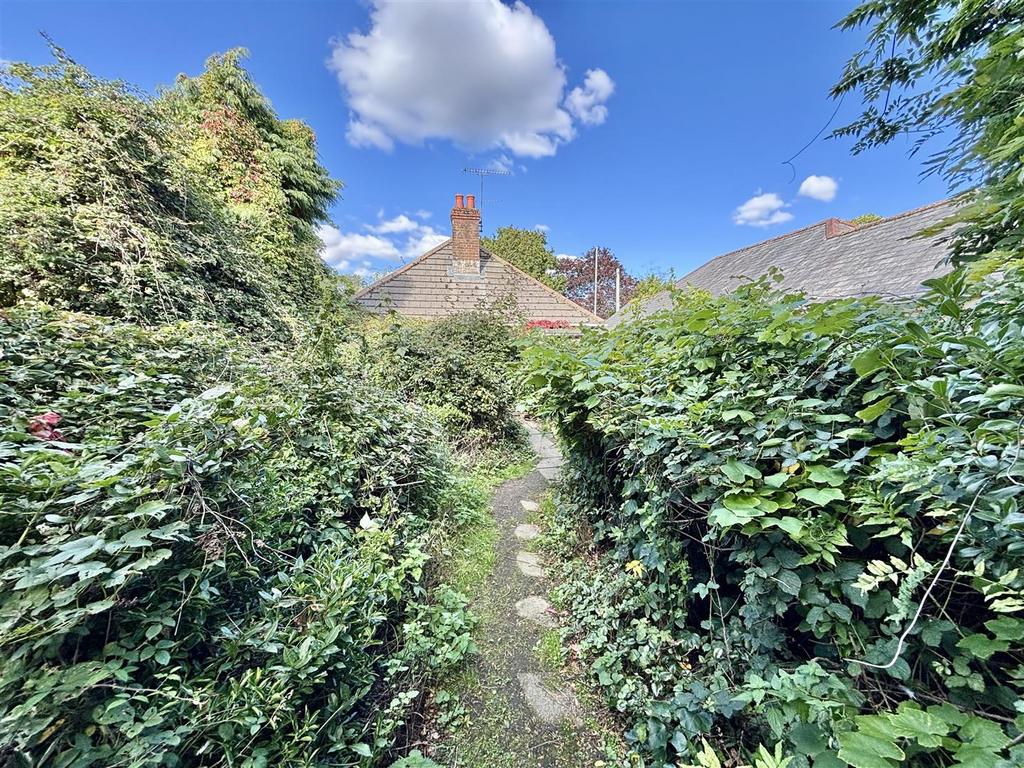IMG 3113.jpeg