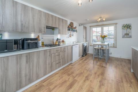 undefined, Swordy Park, Alnwick NE66