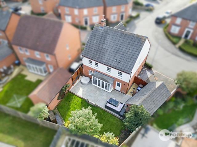 AERIAL.jpg