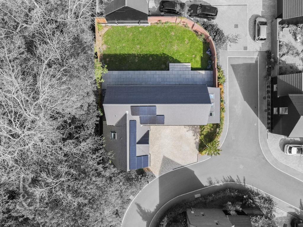 Drone plot