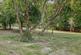 Additional image 4 of Upper Lambourn RG17