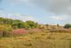 Additional image 10 of Upper Lambourn RG17