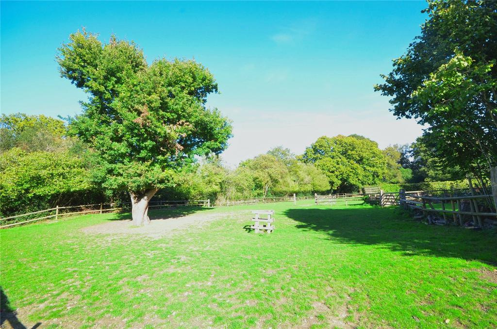 Outside