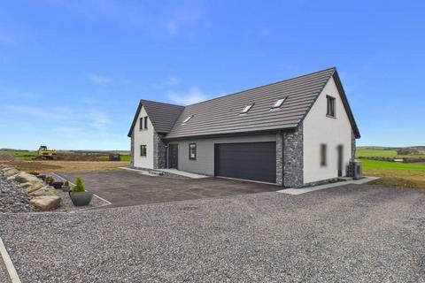 undefined, Ellon AB41
