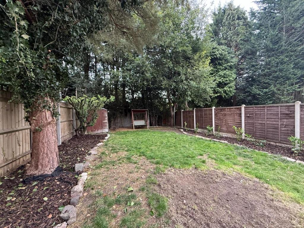Back garden
