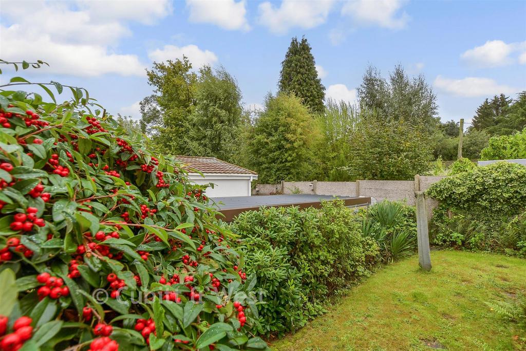 Side Garden