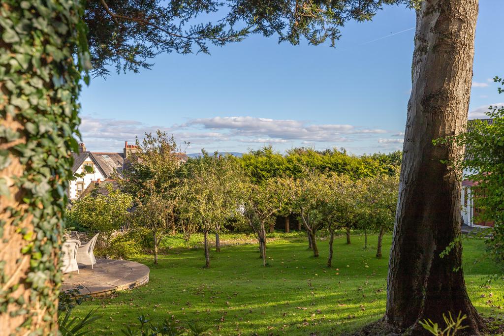The Orchard