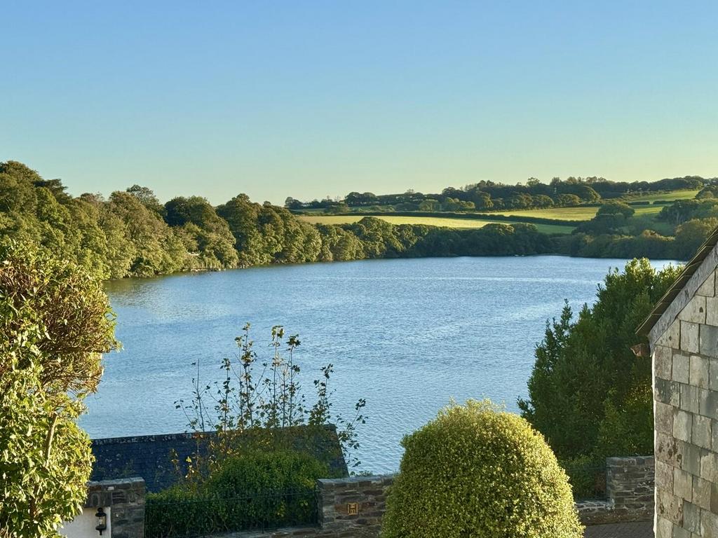 View From the Garden