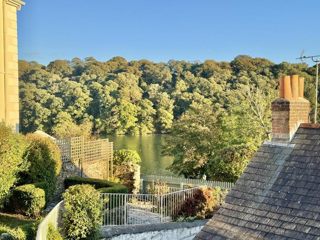 View From the Garden