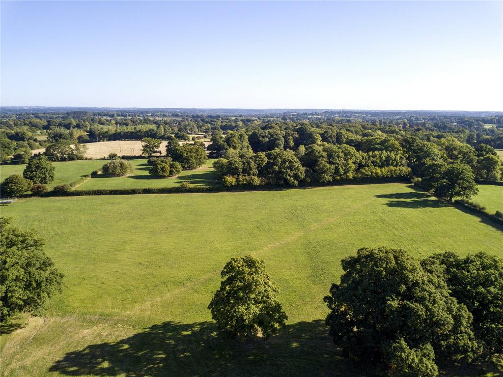 Pasture