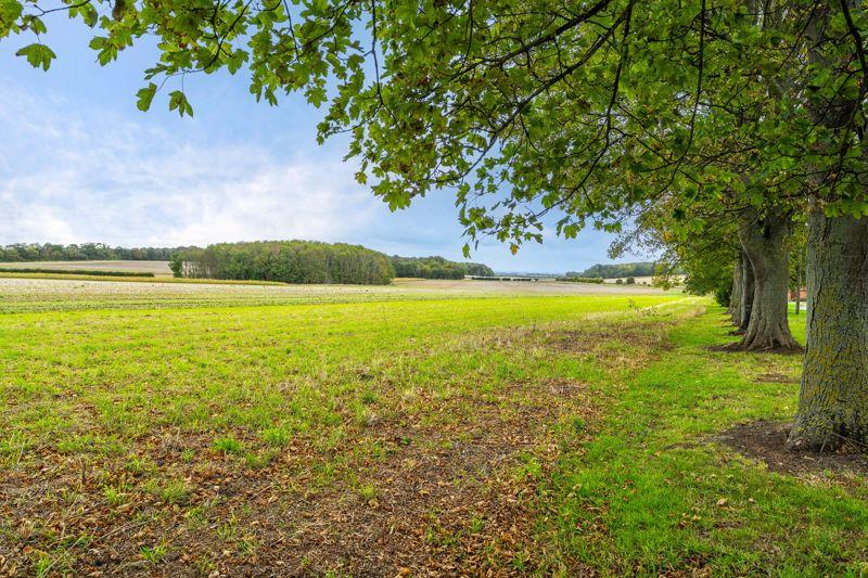 Countryside views