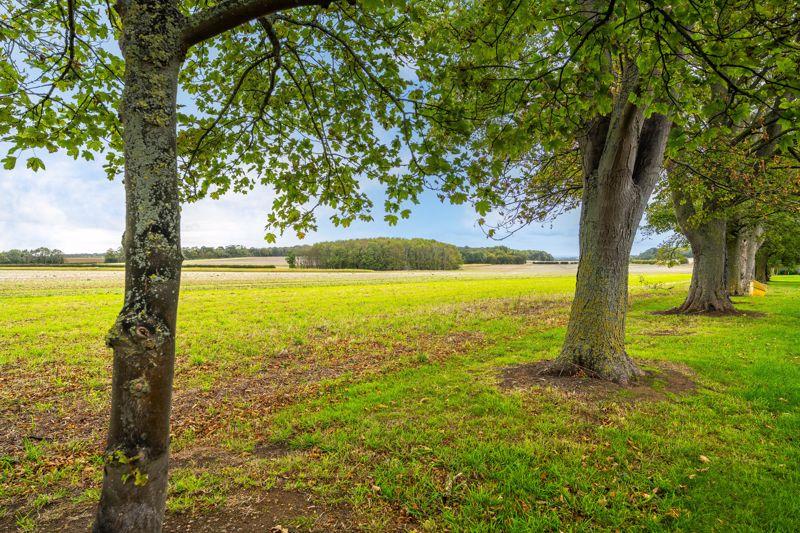 Countryside views