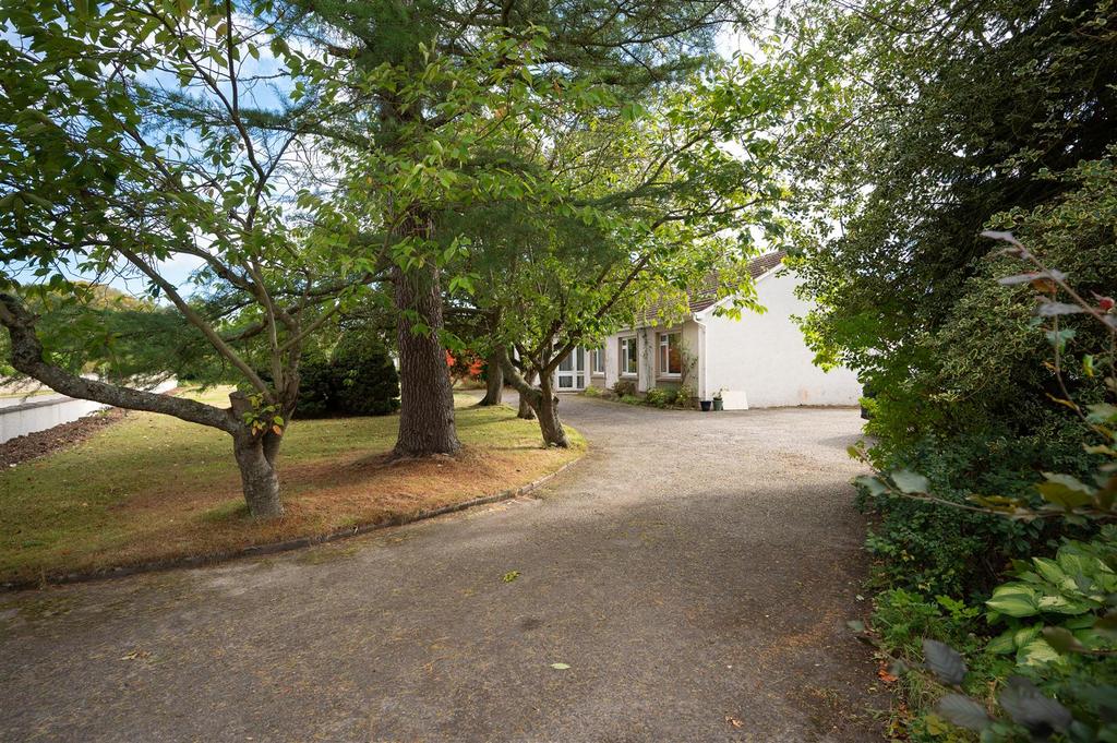 Front Garden & Driveway