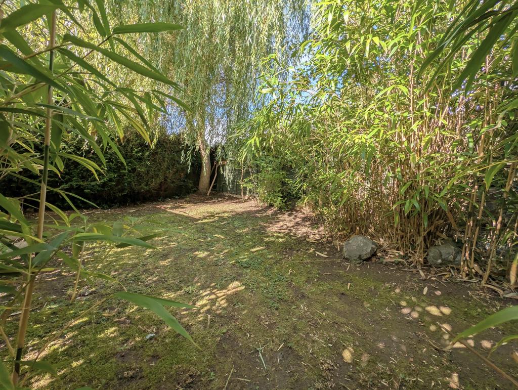 Rear garden