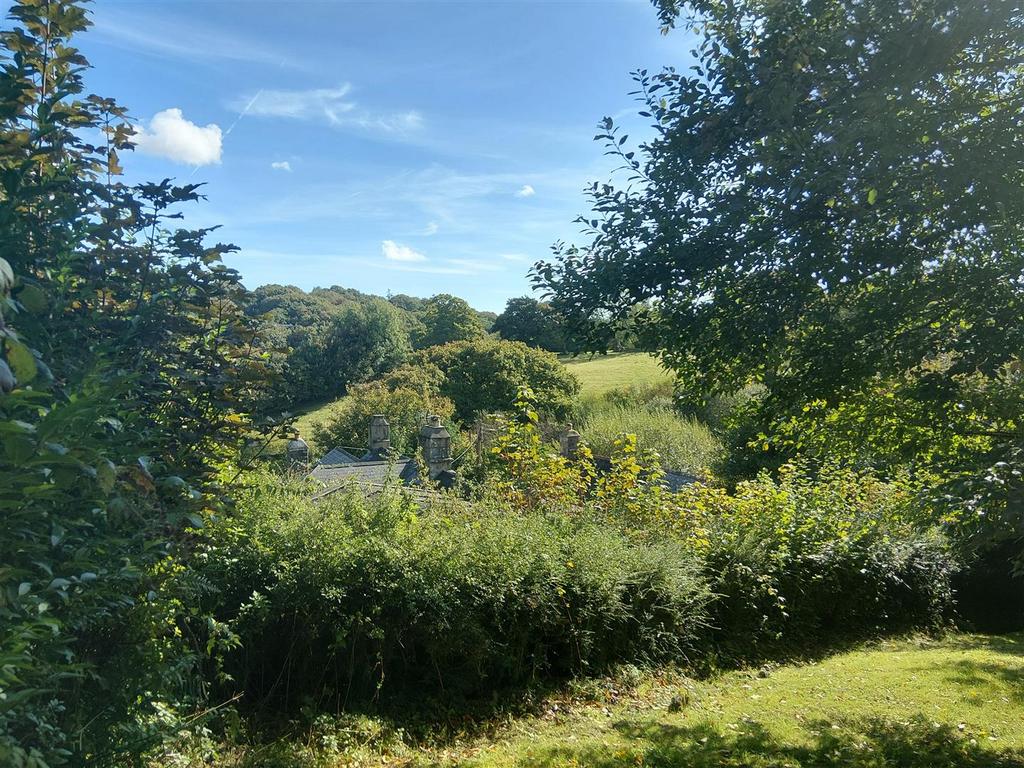 Garden 2.jpg