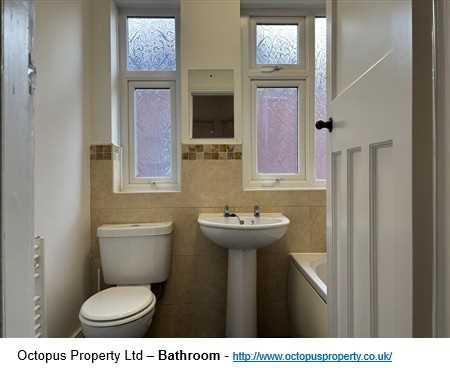Picture 12
