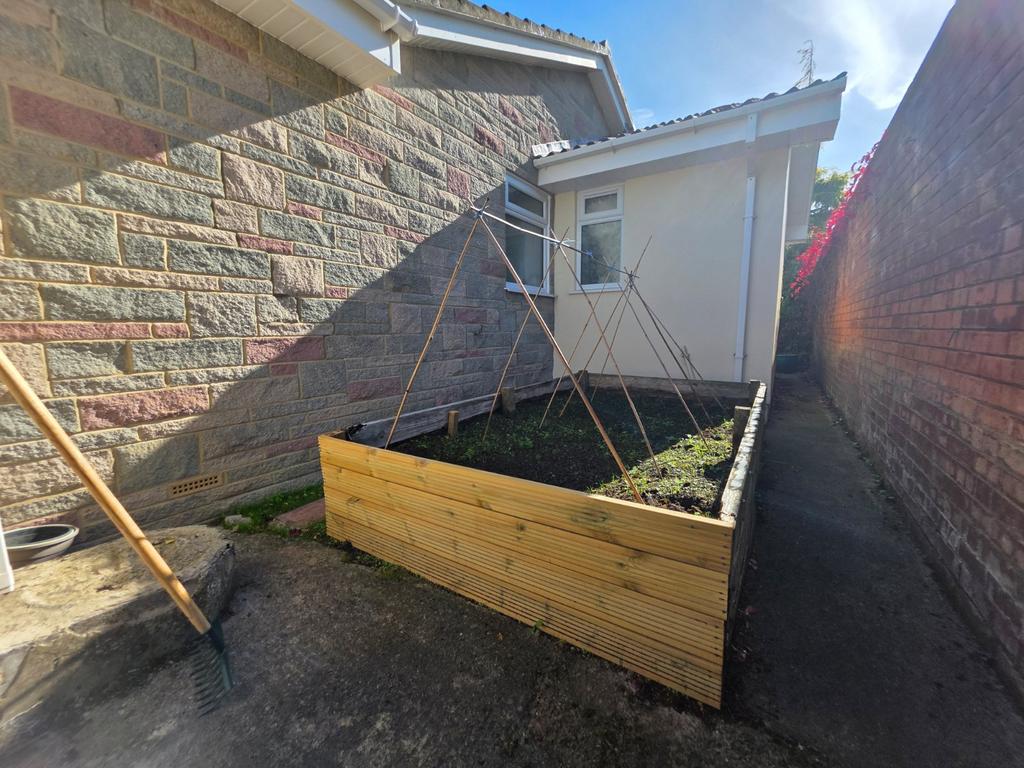 Veg Plot