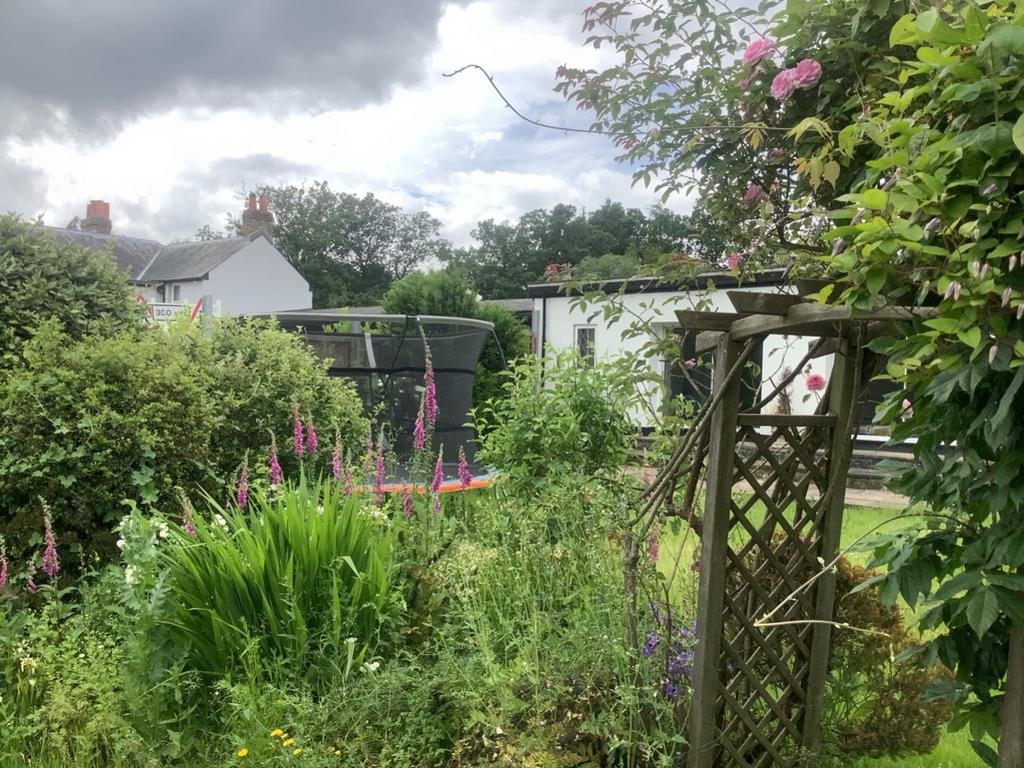 Garden 2