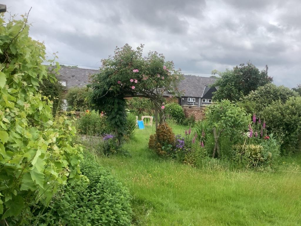 Garden 3