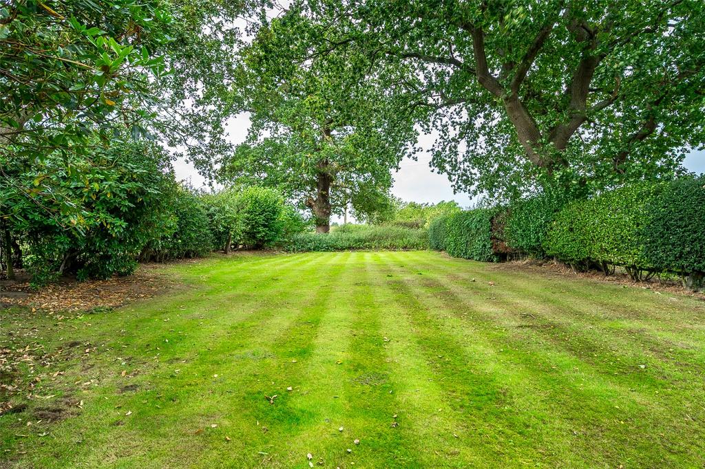 Grounds