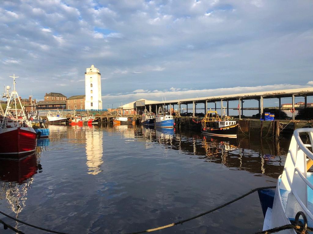 Fish Quay (2)