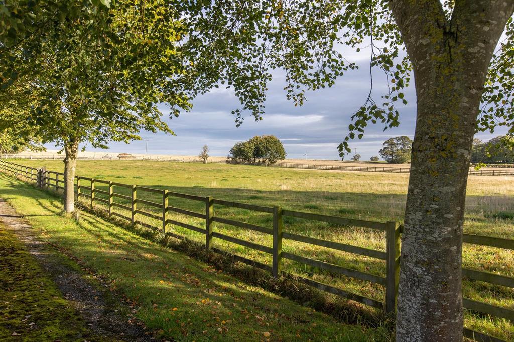 Second Drive and Paddock