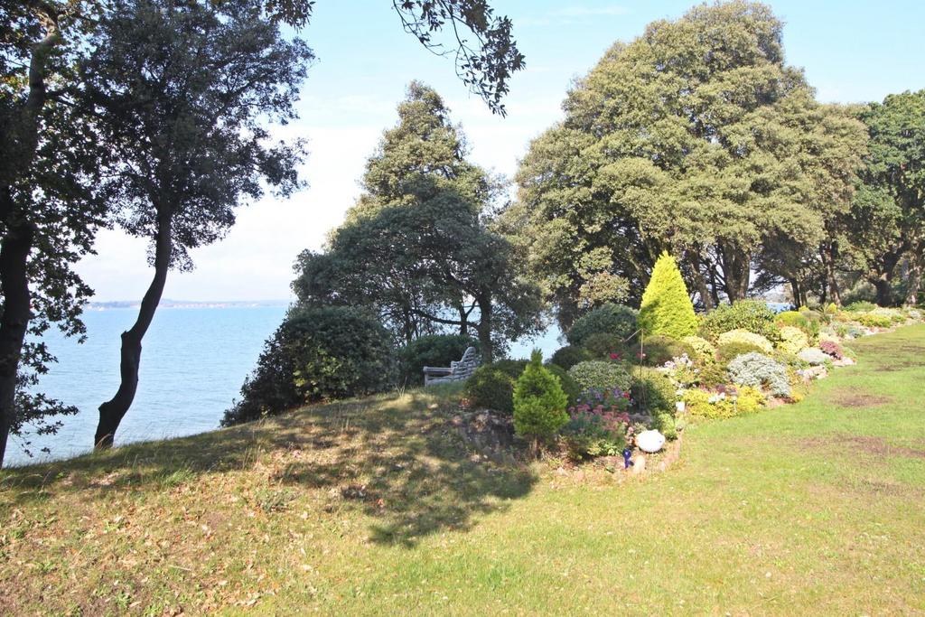 View 2.JPG
