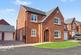 Lucas Lane, Derby