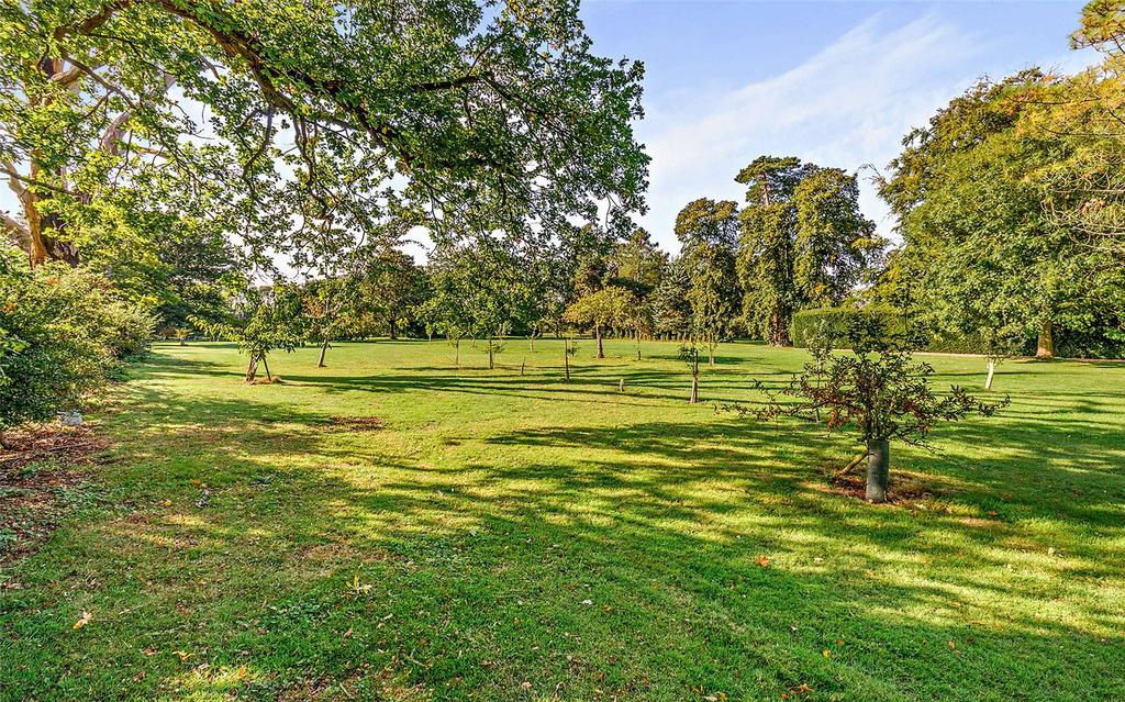 Grounds