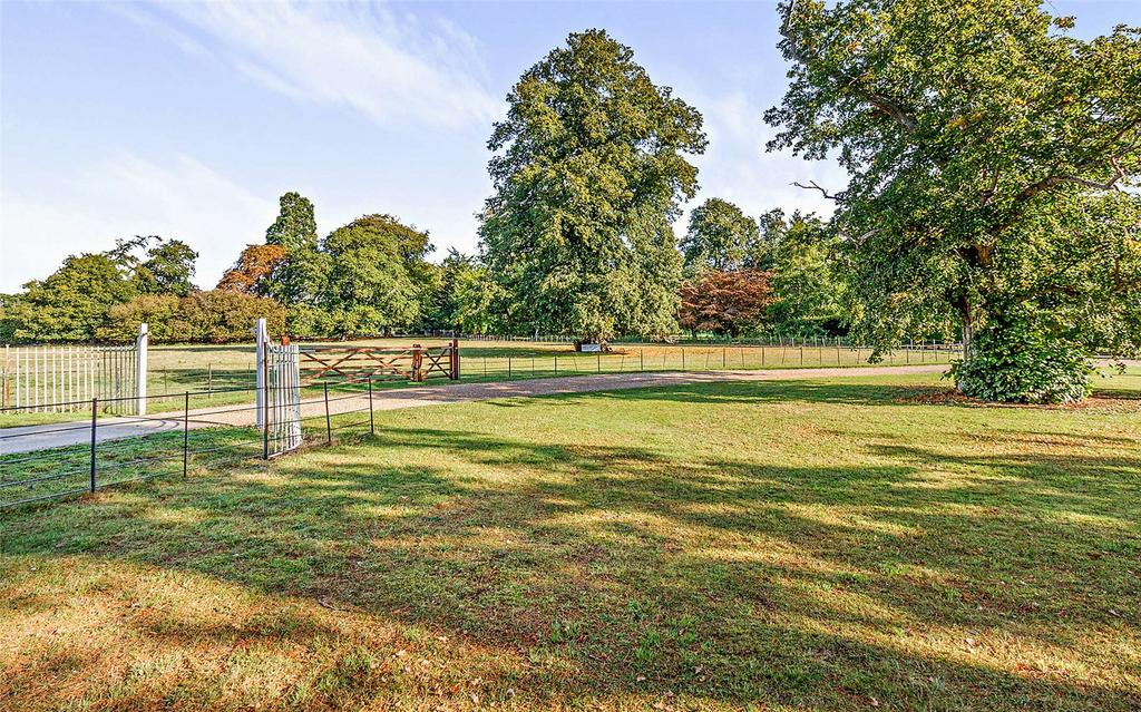 Grounds