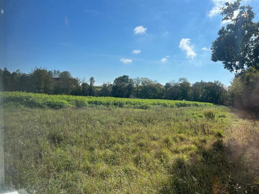 K17 Jf DQGL0as R6-6 Ol C8 Q.jpg