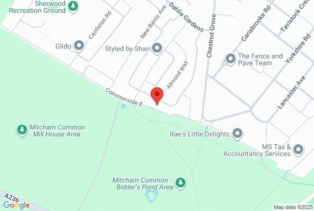 Google Maps Image