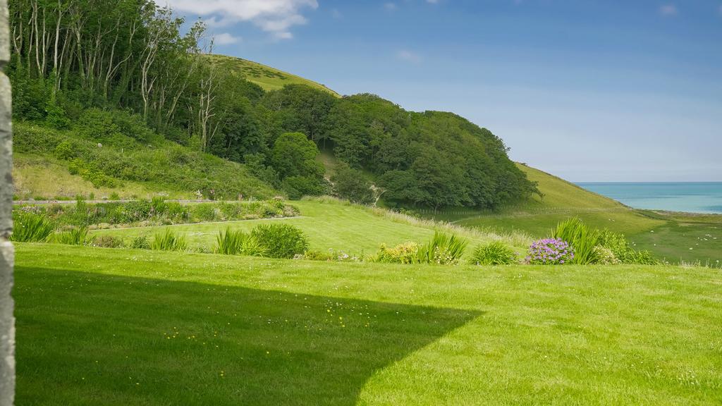 Grass