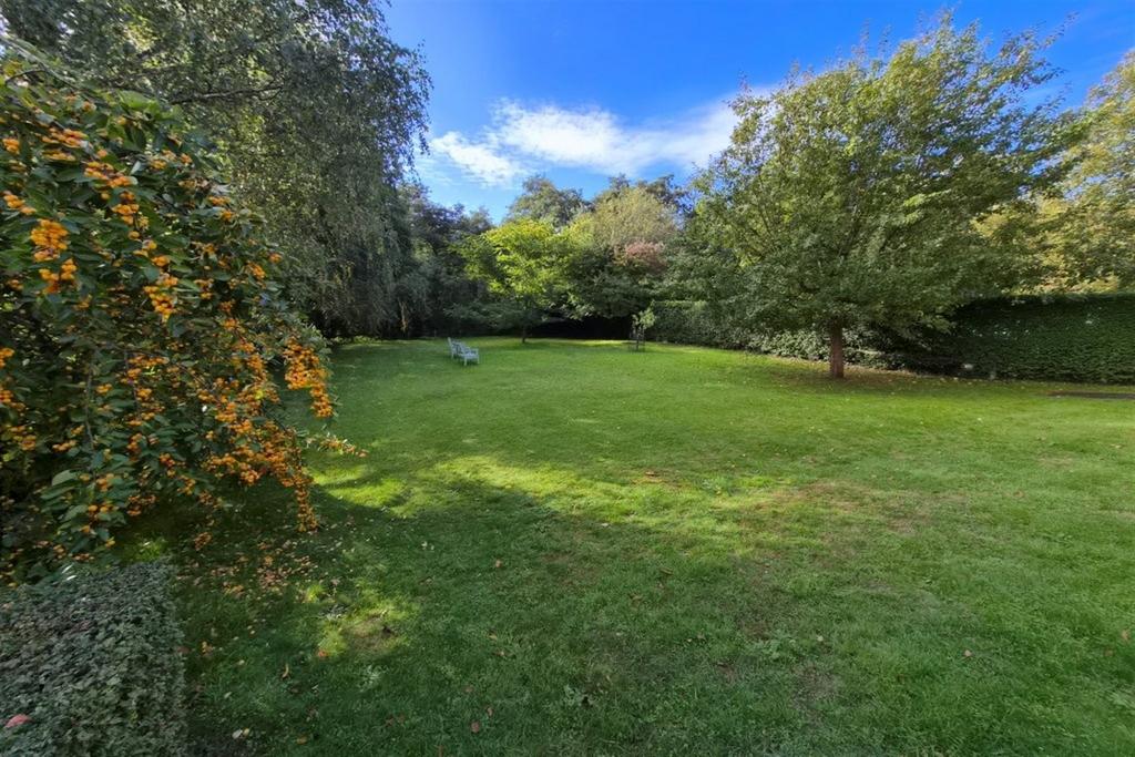 Communal Garden 2