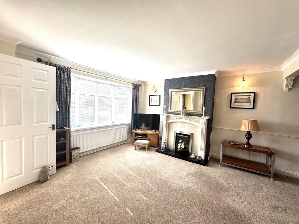 IMG 0370.jpeg