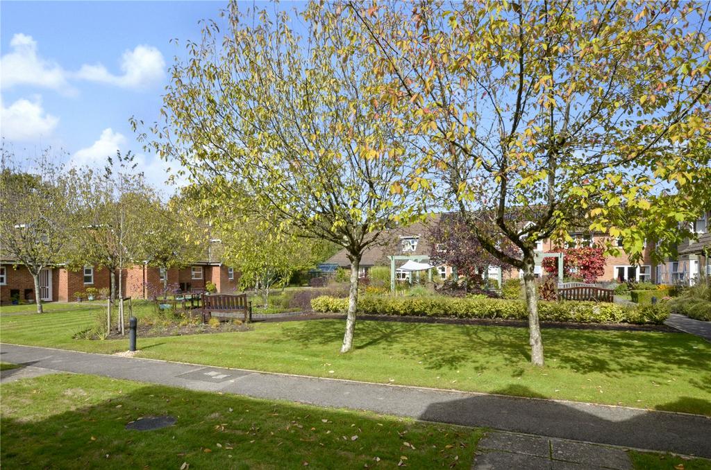 Grounds