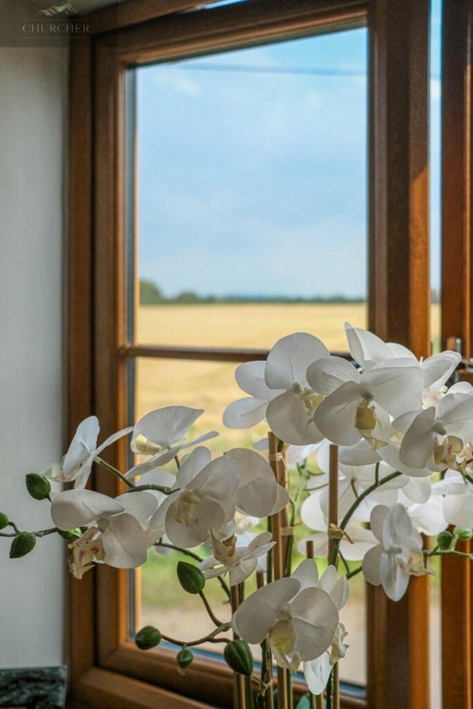 238523 3 lavendarbarn img 46 0001