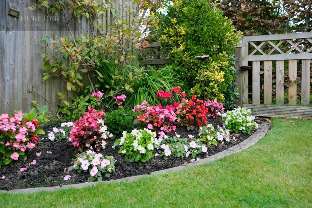 238523 3 lavendarbarn img 65 0001