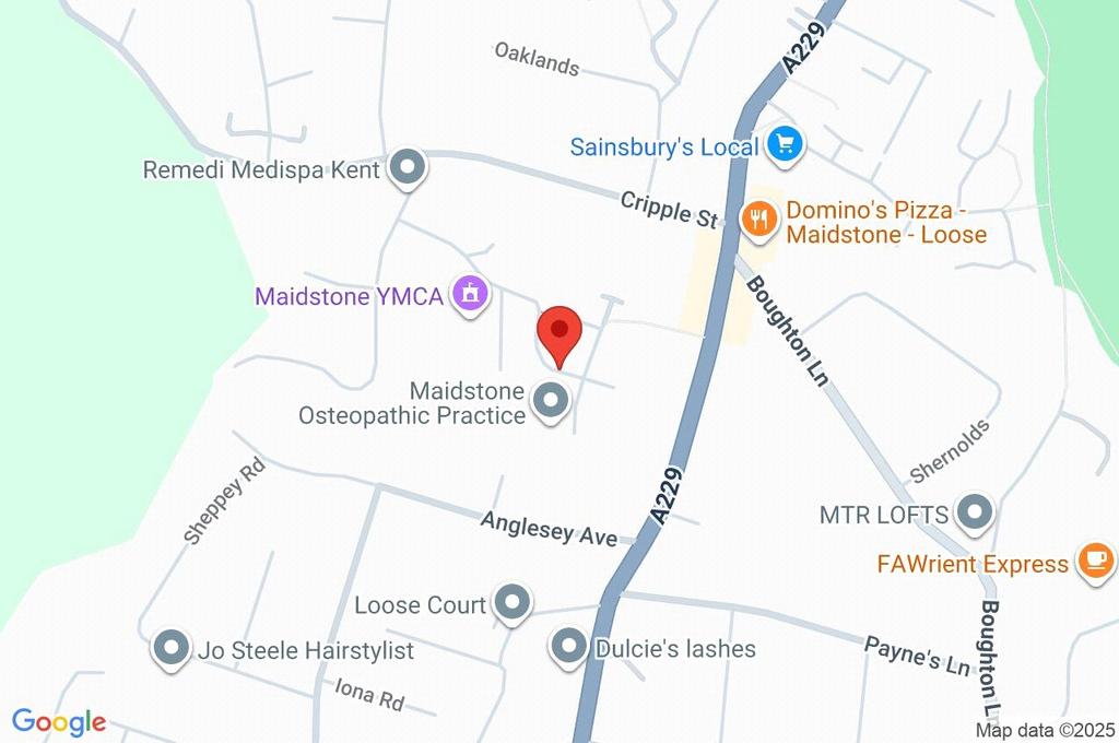 Google Maps Image