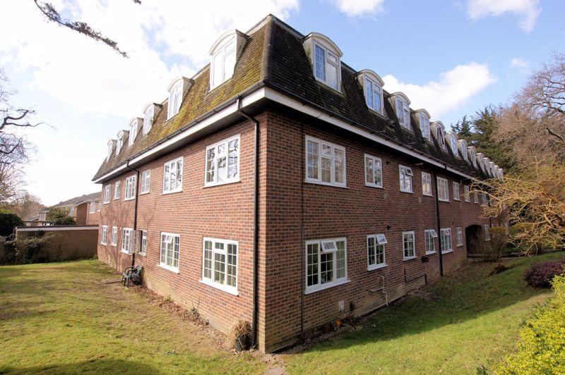 Rear View