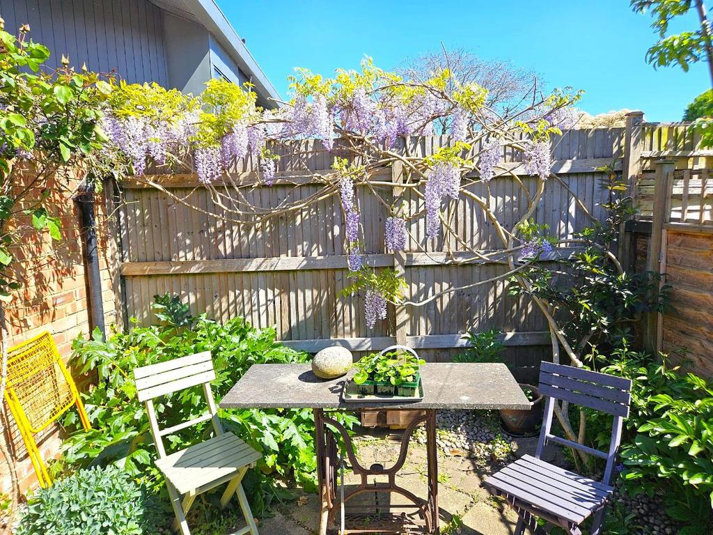 Patio view, garden
