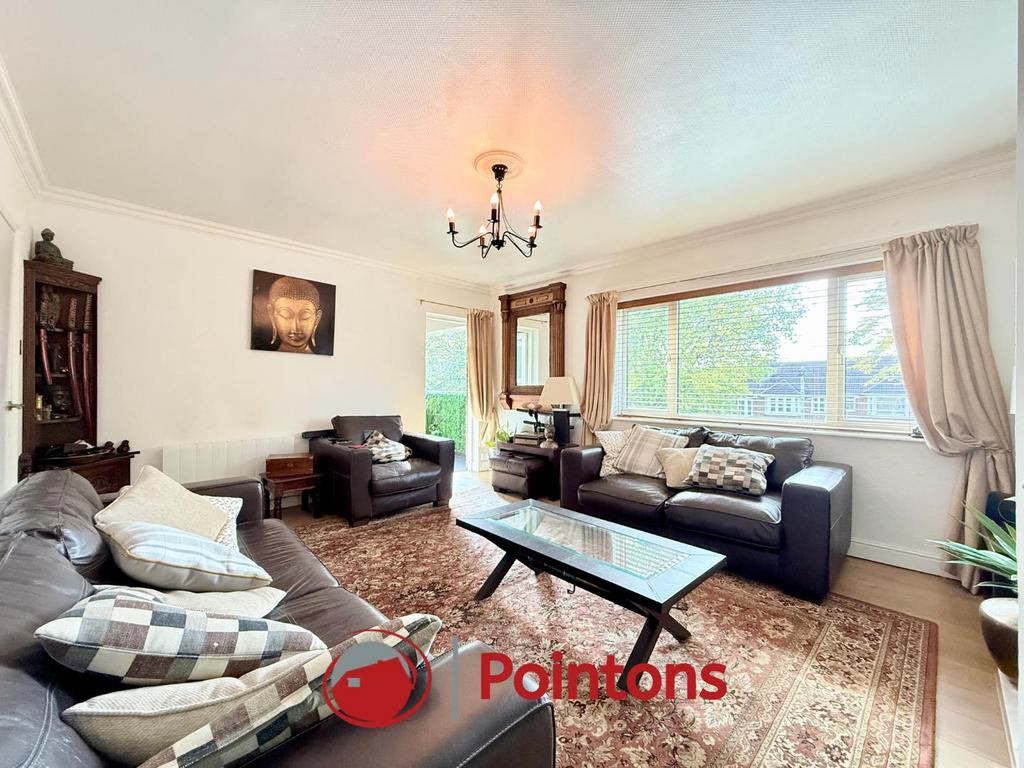 Logo image  (13).png