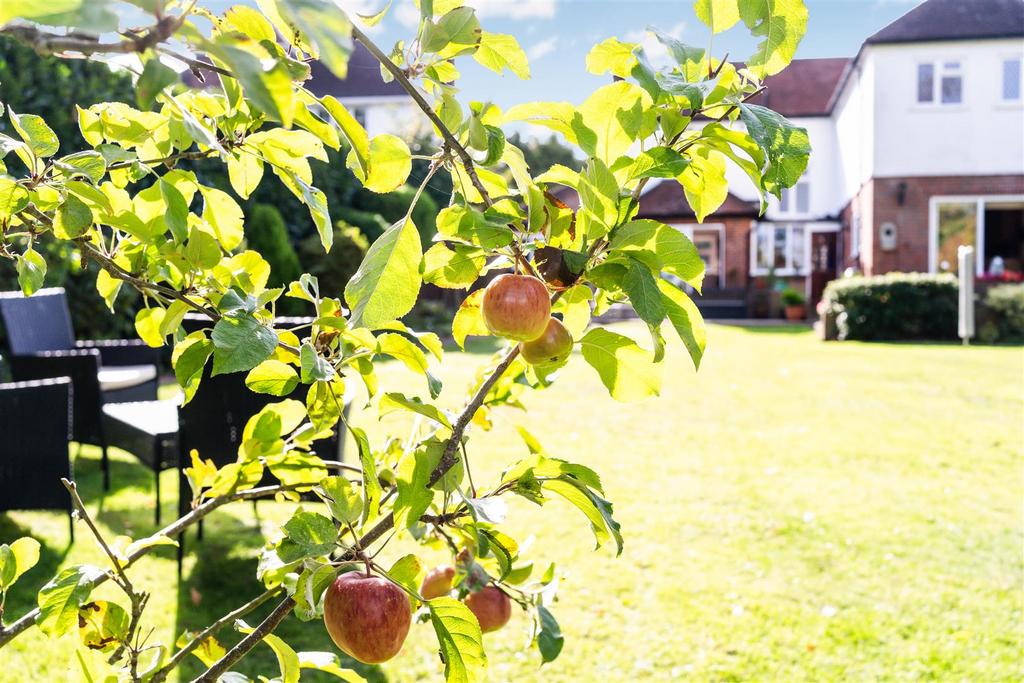 SHAWLEY WAY, 65 (LIFESTYLE4of4)-4.jpg