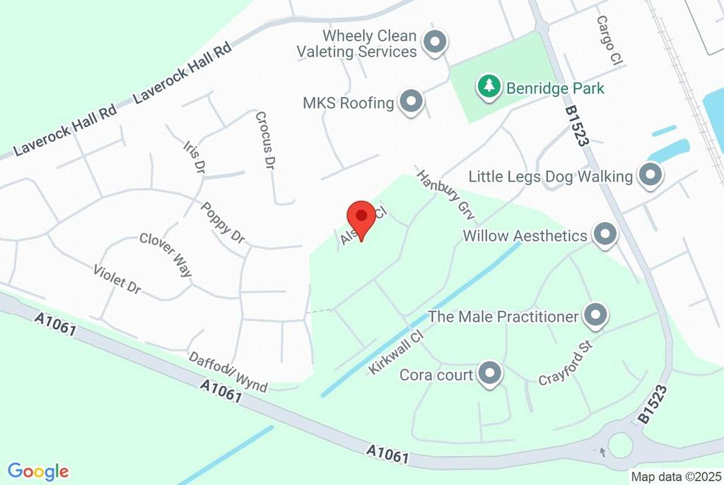 Google Maps Image