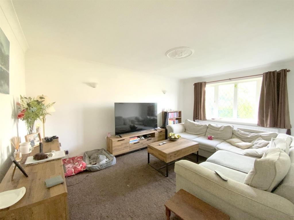 Resized IMG 4936.jpg