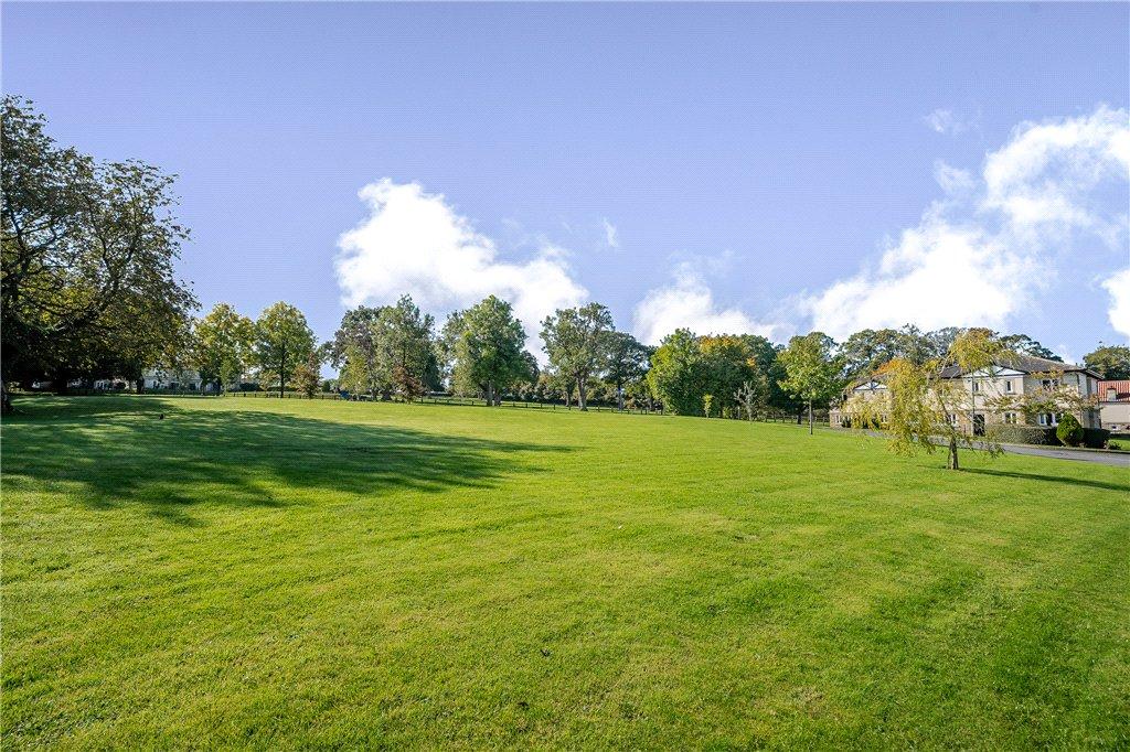 Communal Grounds